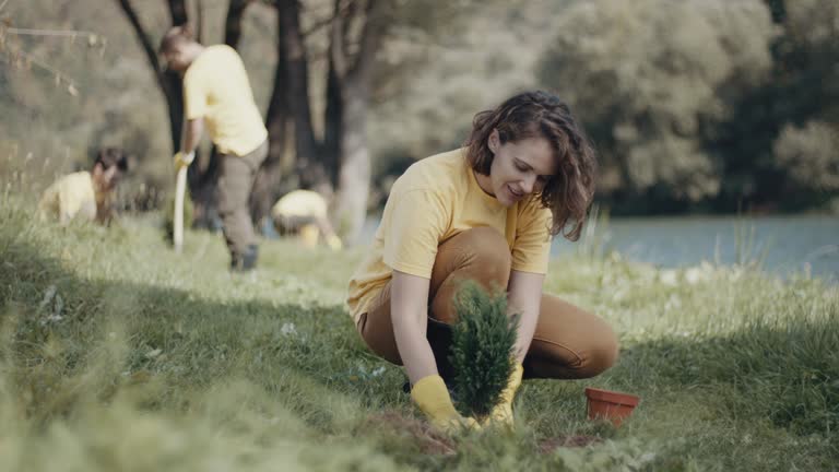 Best Arborist Consultation Services  in Dunthpe, OR